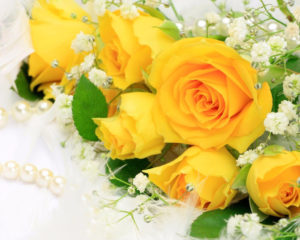 Стоит ли дарить желтые цветы девушке?