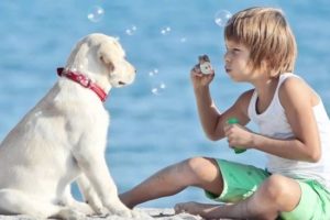 Ребенок просит собаку: что делать родителям?