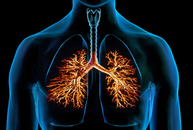 Симптомы и лечение грибка в лёгких
