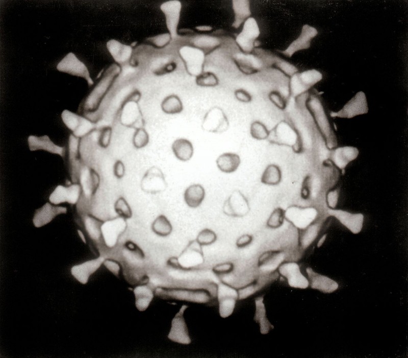 Вирус папилломы человека 51 и 56 типа у женщин