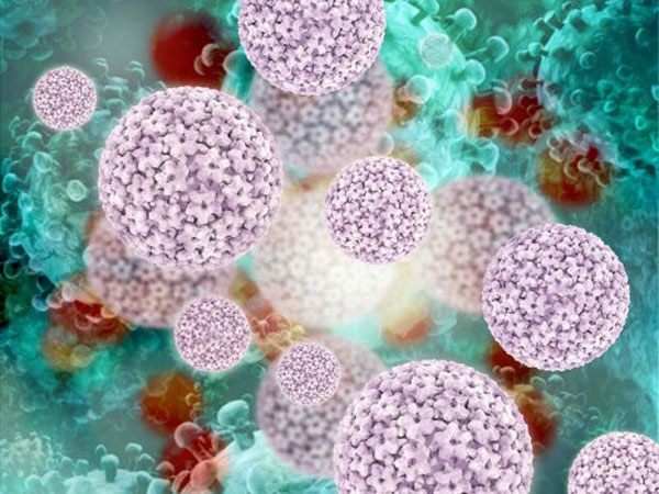 Элиминация самоочищение ВПЧ в каких случаях может исчезнуть вирус