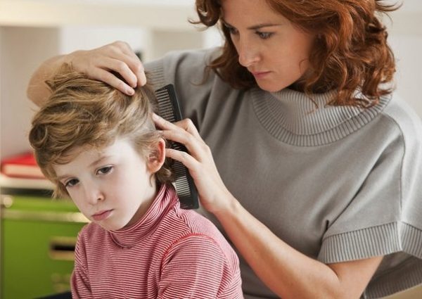 для профилактики педикулеза нужно регулярно осматривать голову ребенка