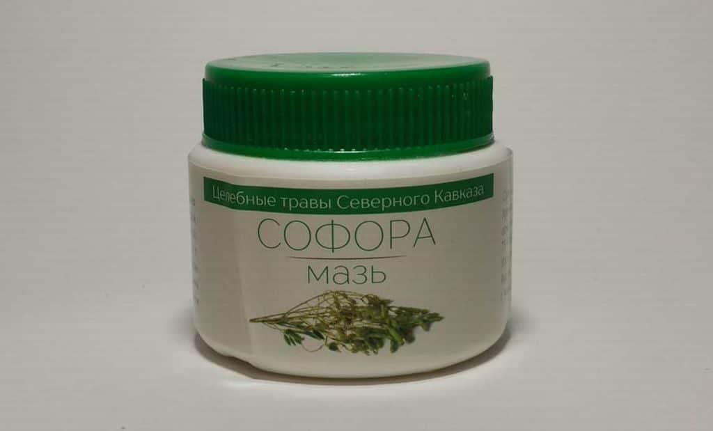 Софора